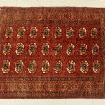 889 5022 ORIENTAL RUG